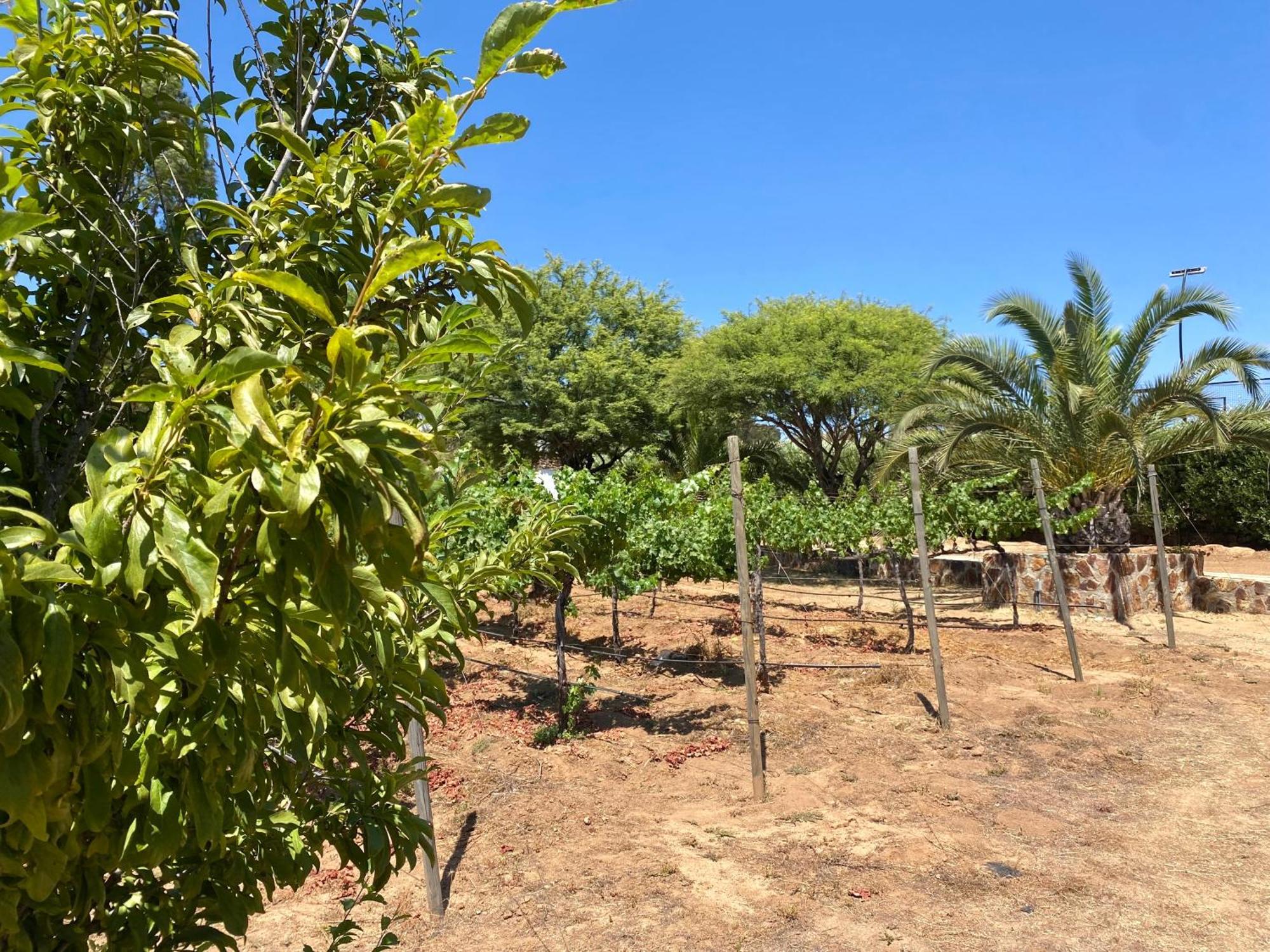 Tierra Mia Hacienda Ruta Del Vino Otel Valle de Guadalupe Dış mekan fotoğraf